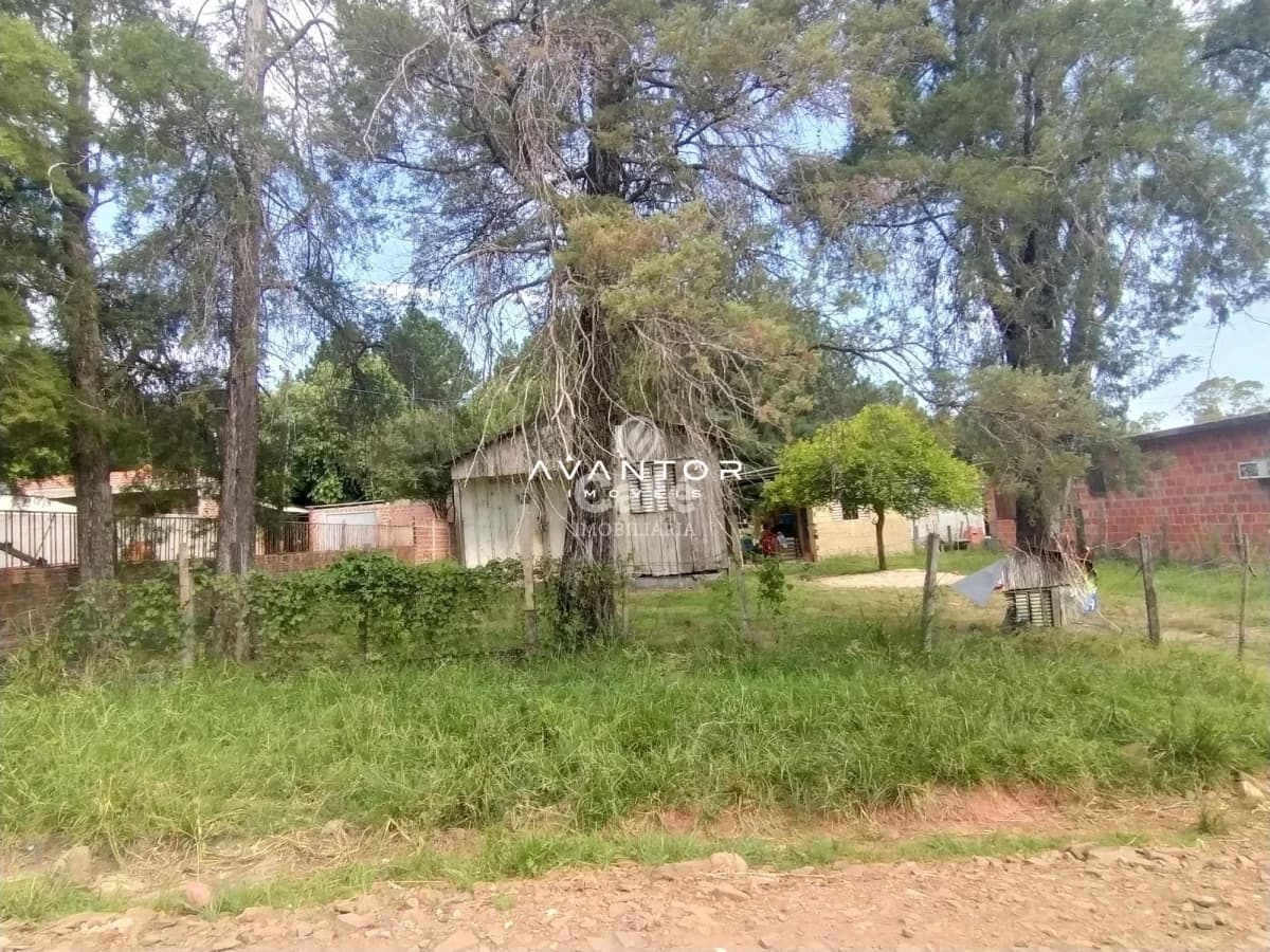 Terreno com árvores e construção ao fundo — Terreno à venda em Diácono João Luiz Pozzobon, Santa Maria/RS