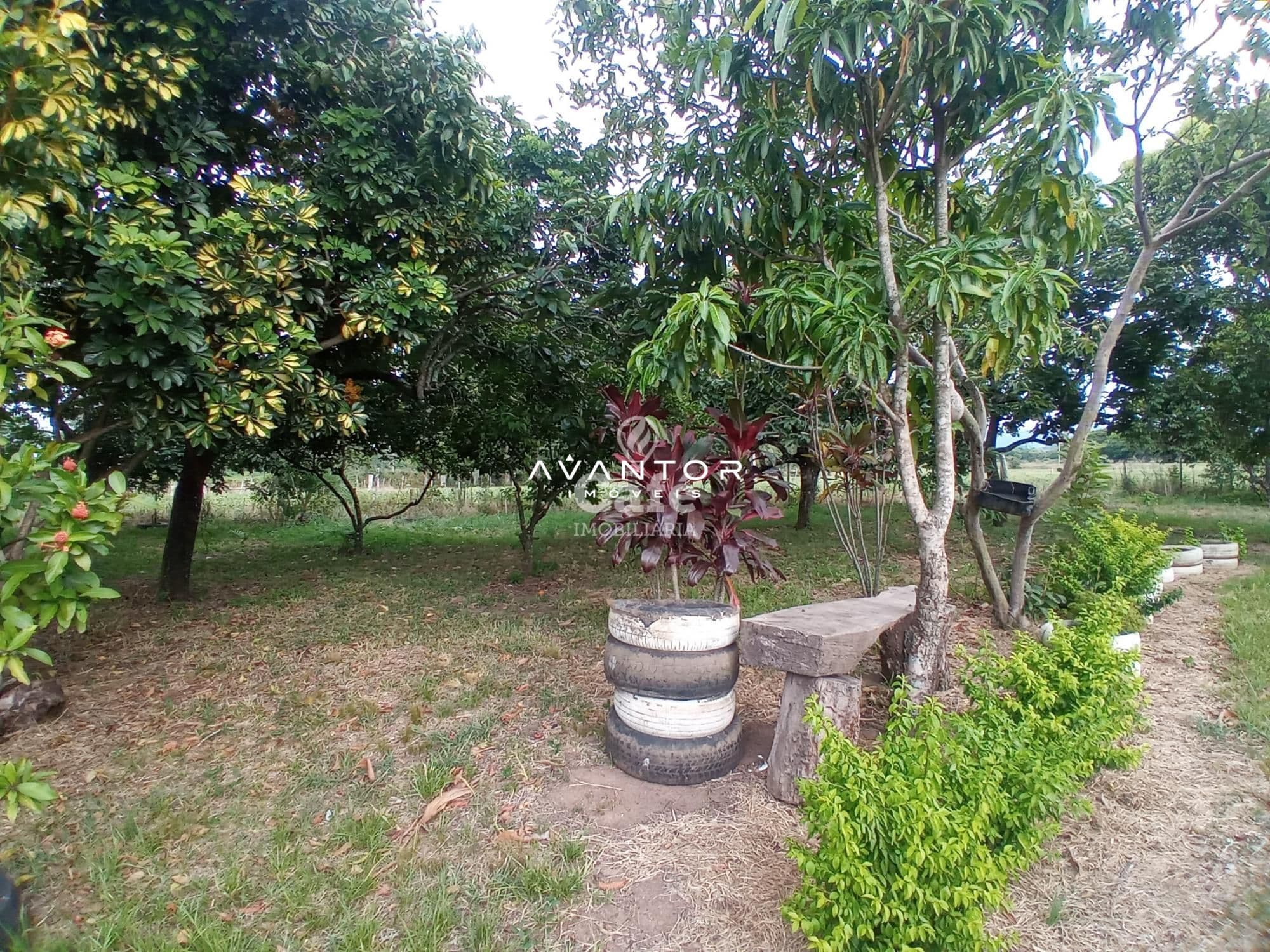 Chácara com 2 quartos à venda em Boca do Monte, Santa Maria/RS — foto 3 de 13