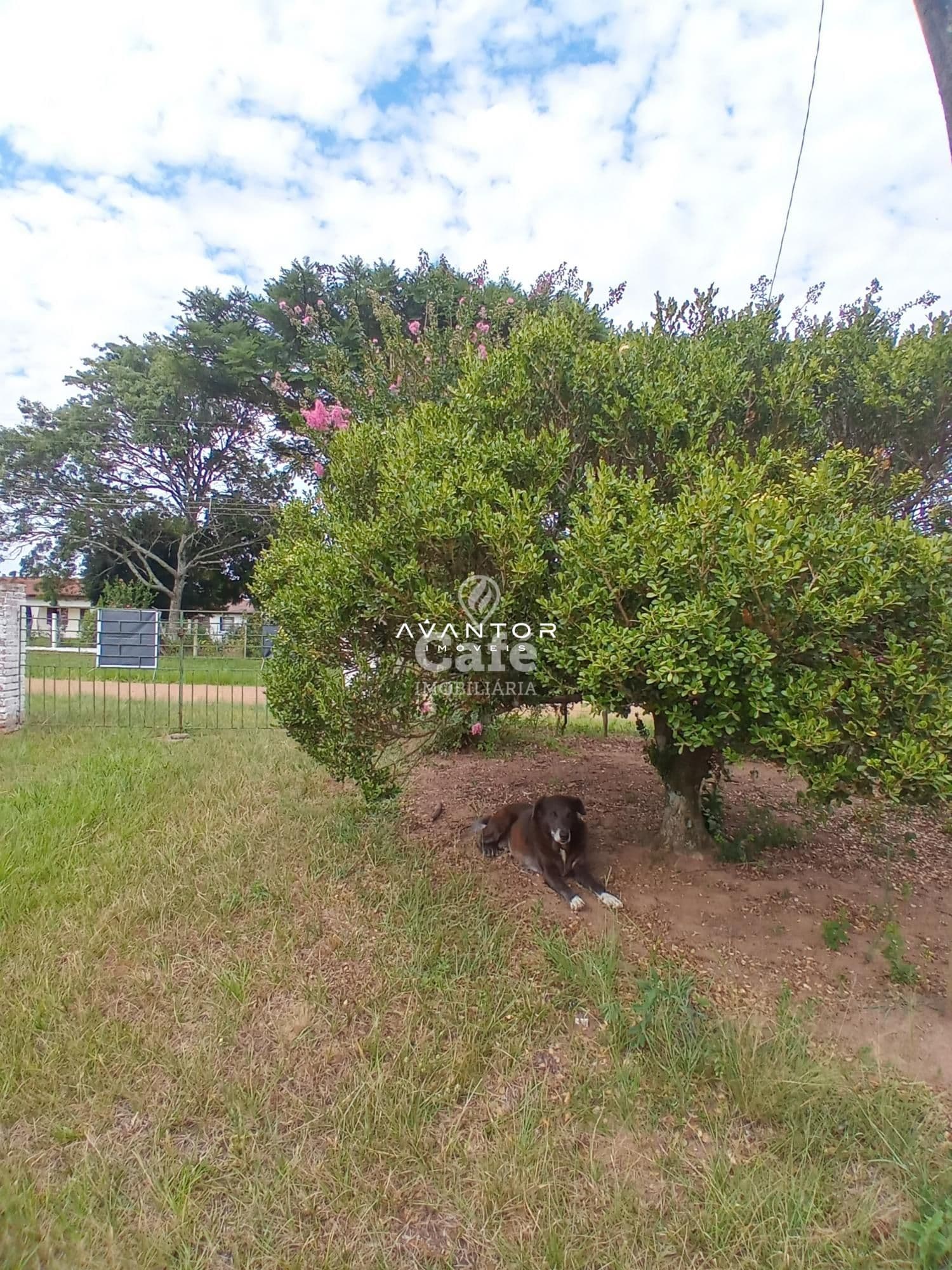 Chácara com 2 quartos à venda em Boca do Monte, Santa Maria/RS — foto 12 de 13