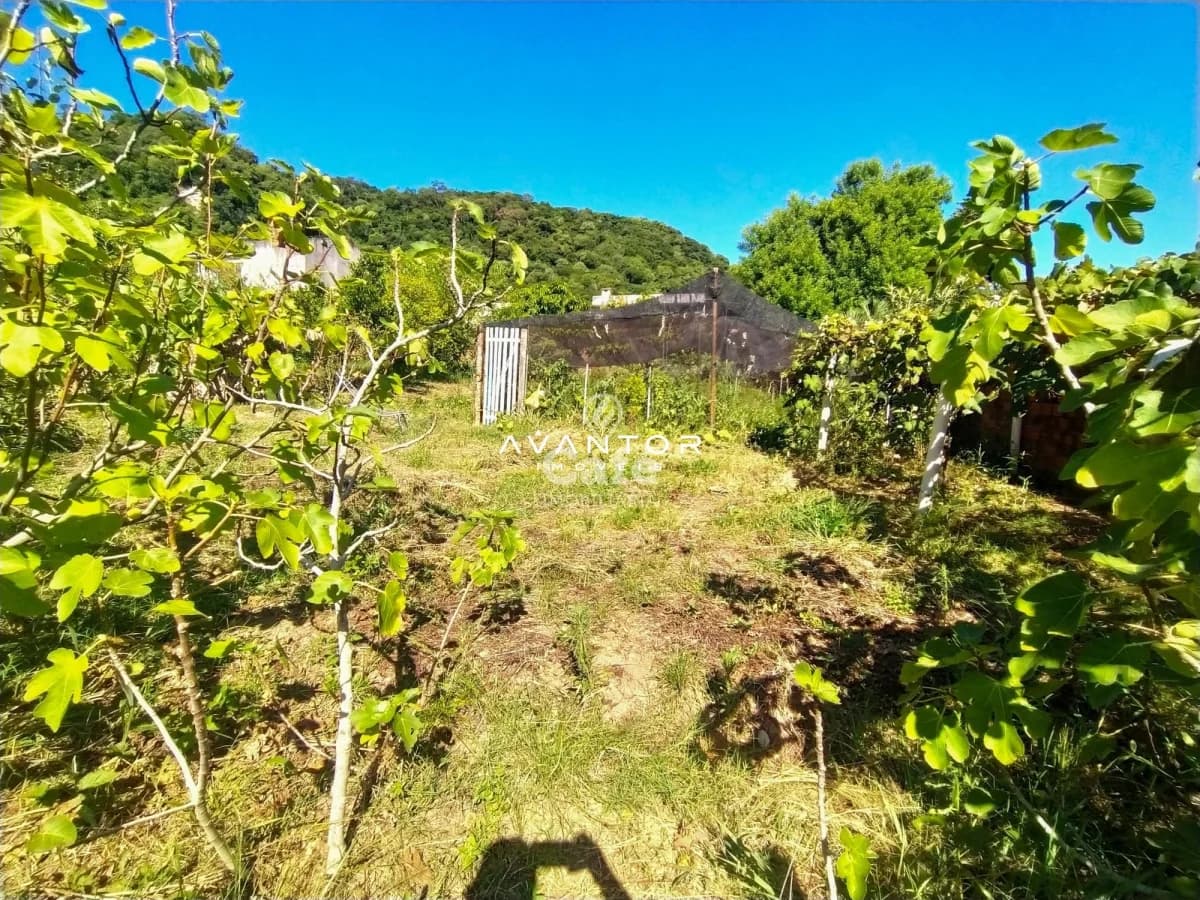 Terreno com plantação e construção — Terreno à venda em Nossa Senhora do Perpétuo Socorro, Santa Maria/RS