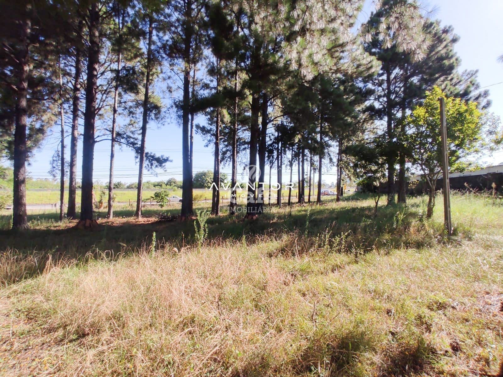 Terreno à venda em Pé de Plátano, Santa Maria/RS — foto 2 de 34