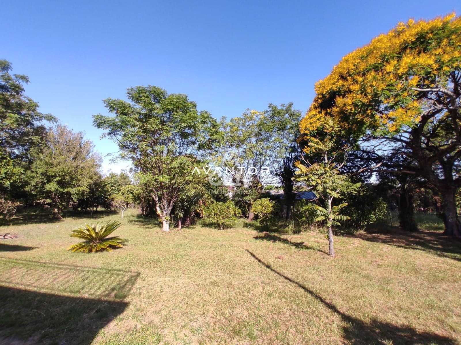 Terreno à venda em Pé de Plátano, Santa Maria/RS — foto 4 de 34