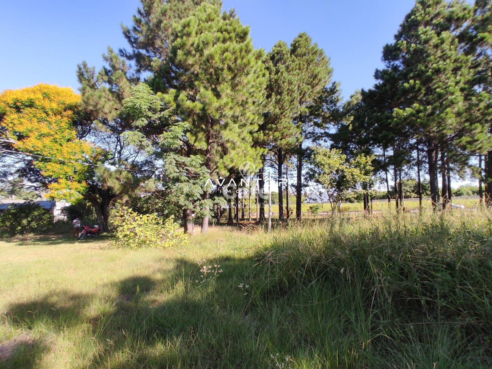Terreno à venda em Pé de Plátano, Santa Maria/RS — foto 6 de 34