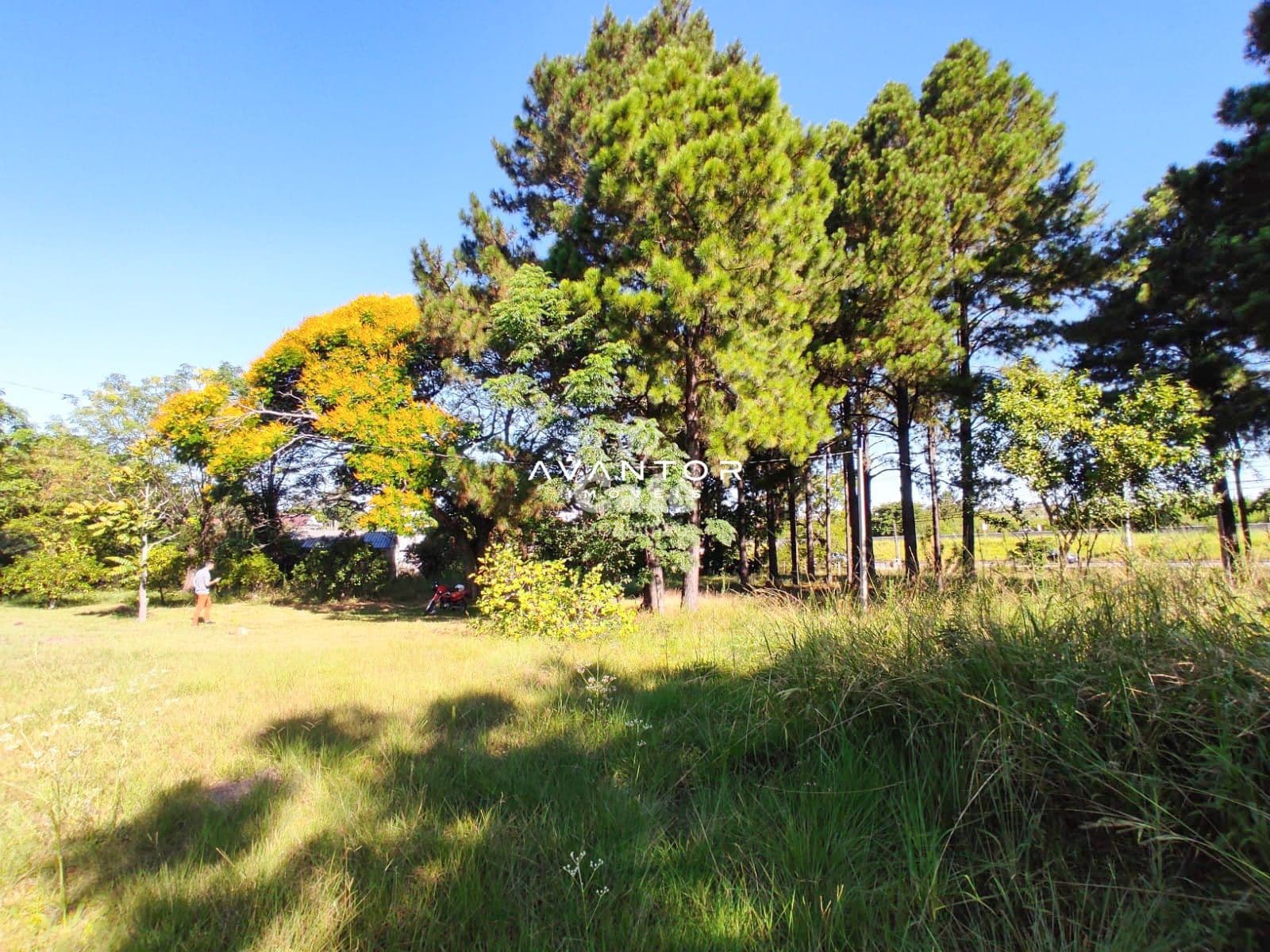 Terreno à venda em Pé de Plátano, Santa Maria/RS — foto 9 de 34