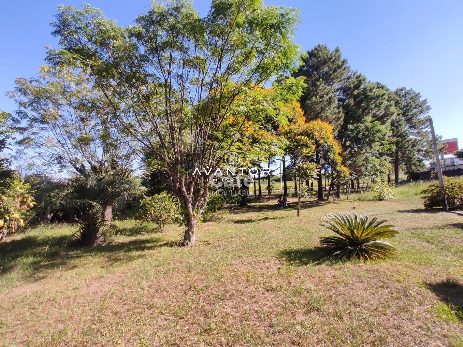 Terreno à venda em Pé de Plátano, Santa Maria/RS — foto 13 de 34