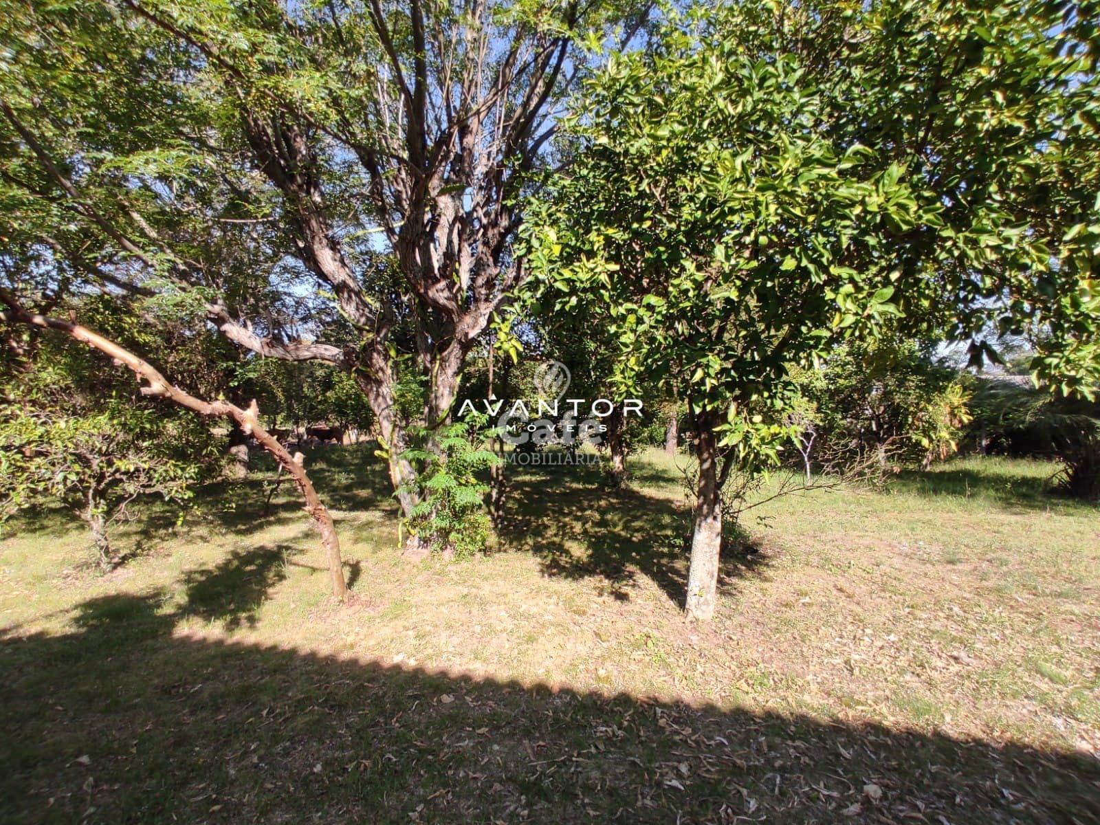 Terreno à venda em Pé de Plátano, Santa Maria/RS — foto 15 de 34