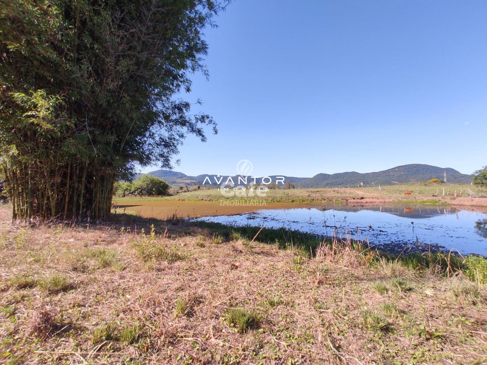 Terreno à venda em Pé de Plátano, Santa Maria/RS — foto 19 de 34