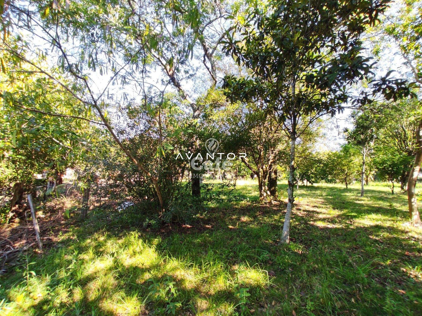 Terreno à venda em Pé de Plátano, Santa Maria/RS — foto 29 de 34