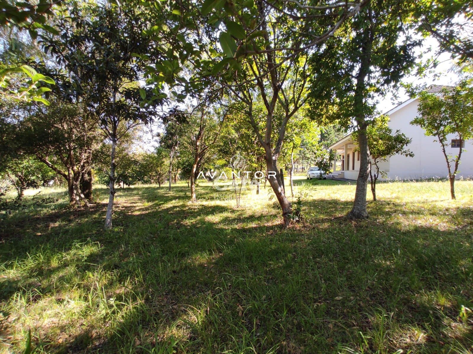 Terreno à venda em Pé de Plátano, Santa Maria/RS — foto 31 de 34