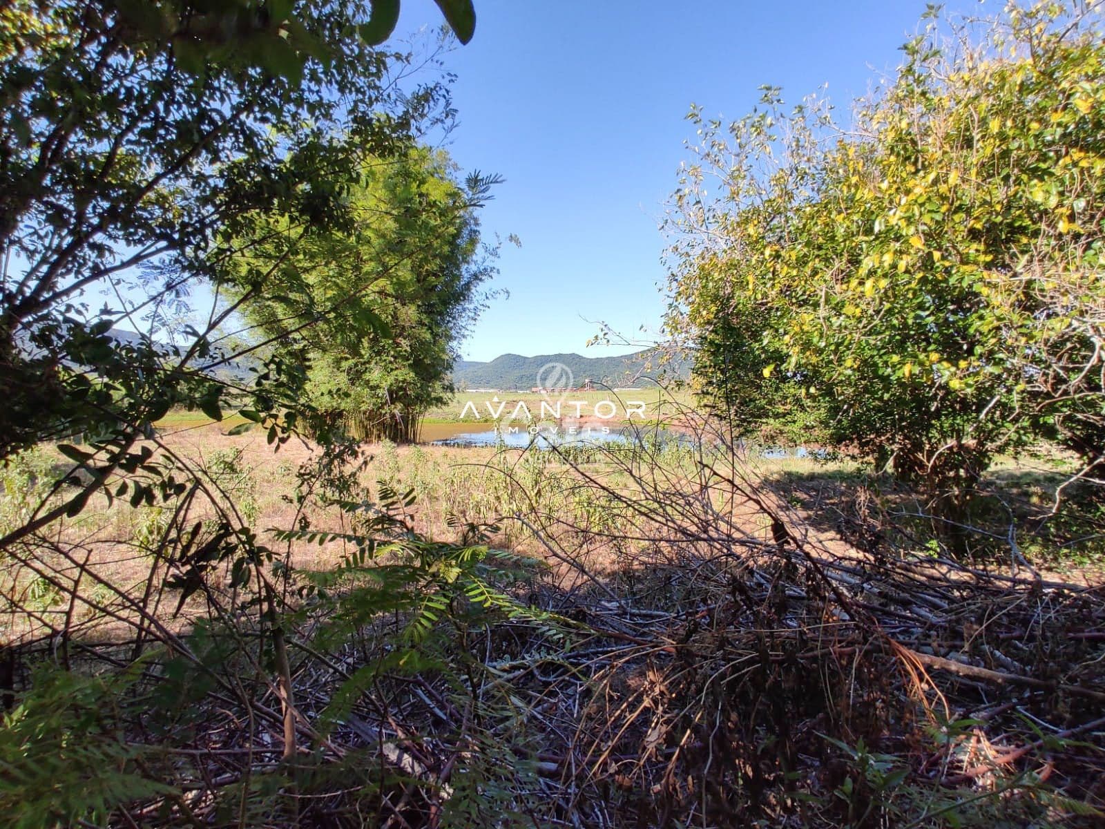 Terreno à venda em Pé de Plátano, Santa Maria/RS — foto 33 de 34