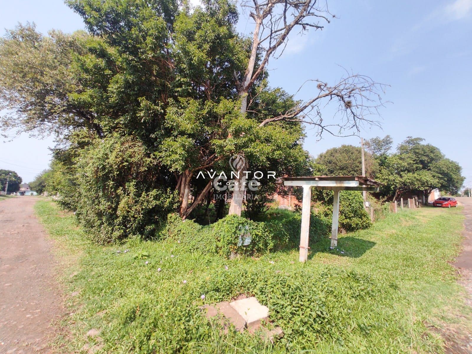 Terreno com árvores e vegetação — Terreno à venda em São José, Santa Maria/RS