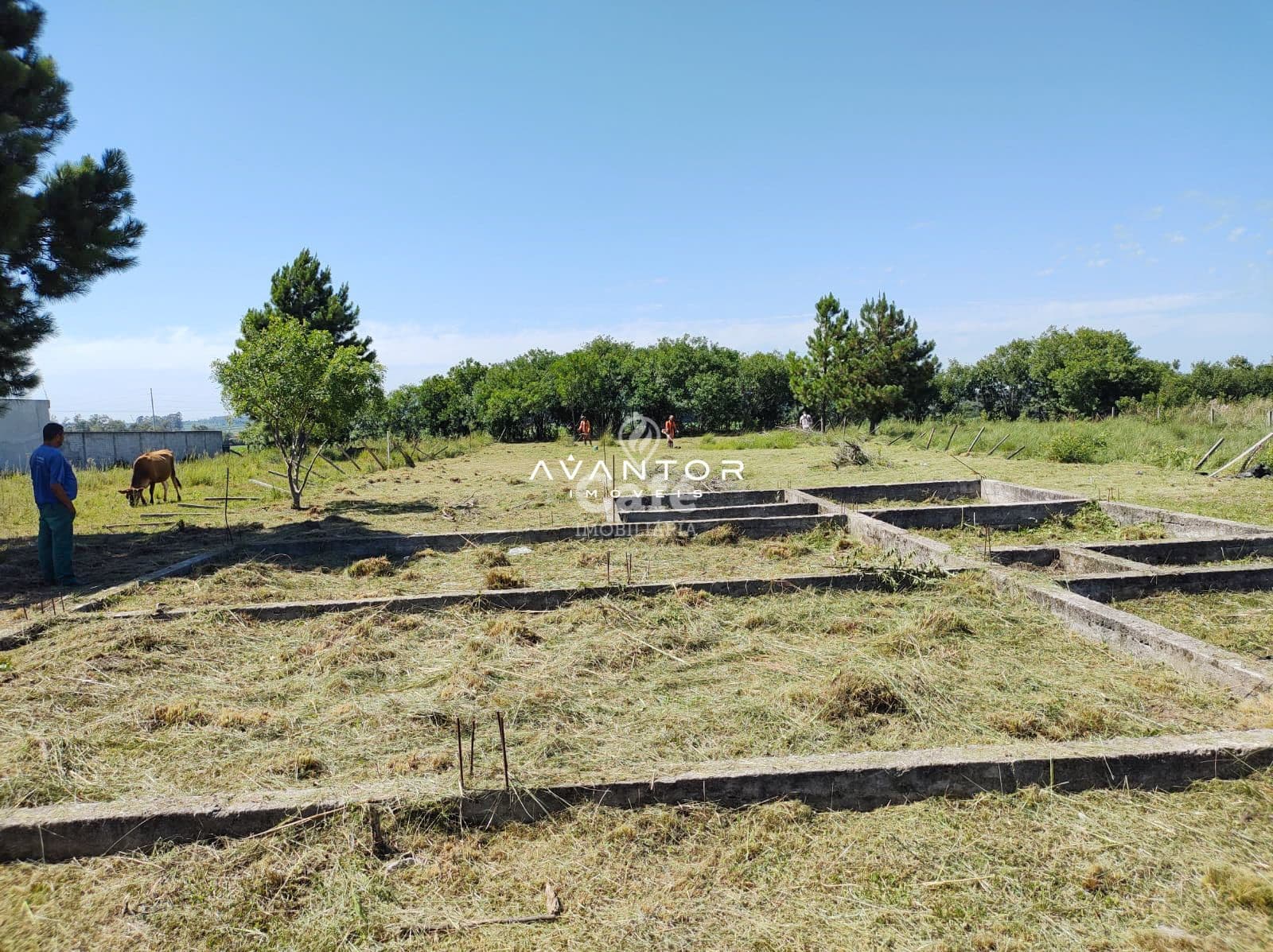 Terreno com estruturas de fundação e vegetação — Terreno à venda em Diácono João Luiz Pozzobon, Santa Maria/RS