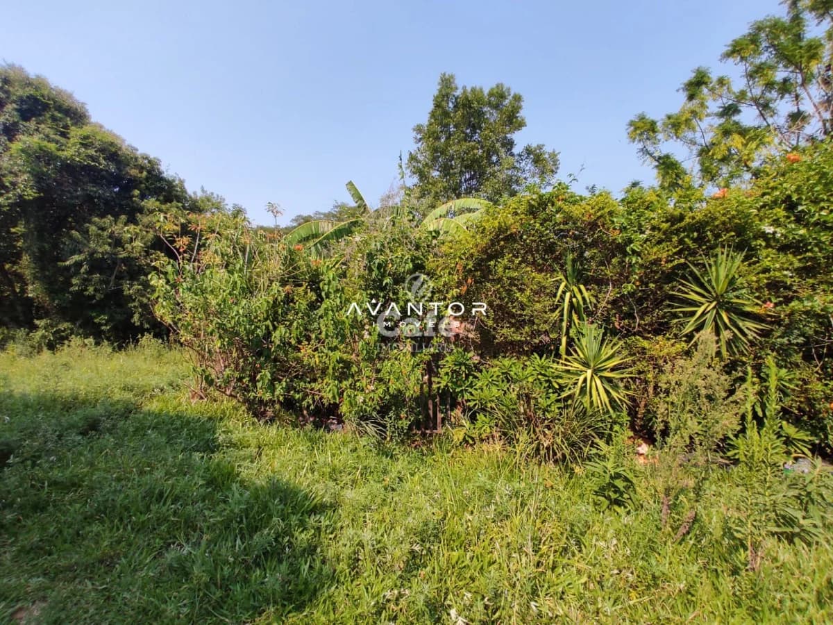 Terreno 250 m² 10x25 — Terreno à venda em Chácara das Flores, Santa Maria/RS