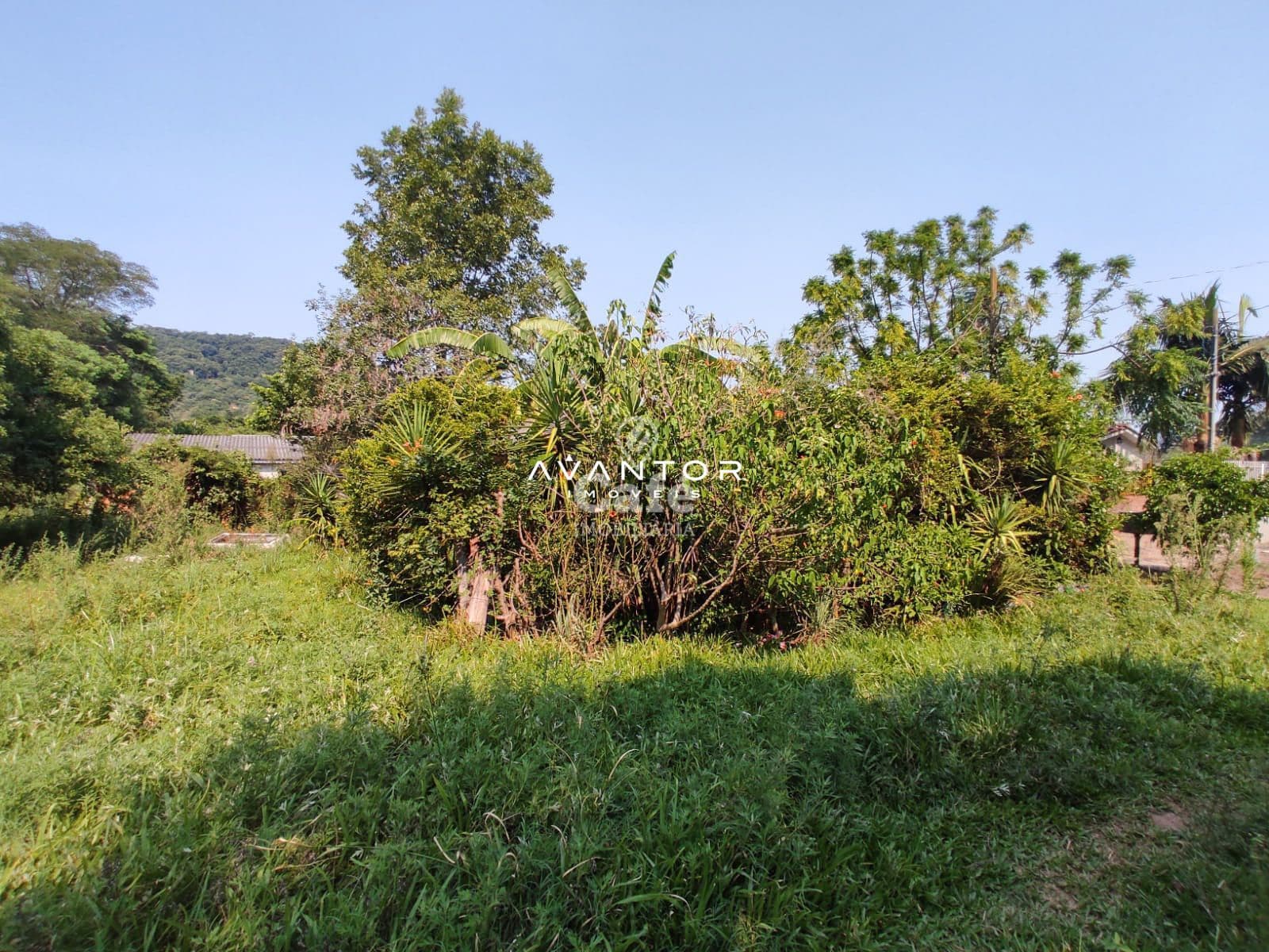 Terreno 250 m² 10x25 — Terreno à venda em Chácara das Flores, Santa Maria/RS