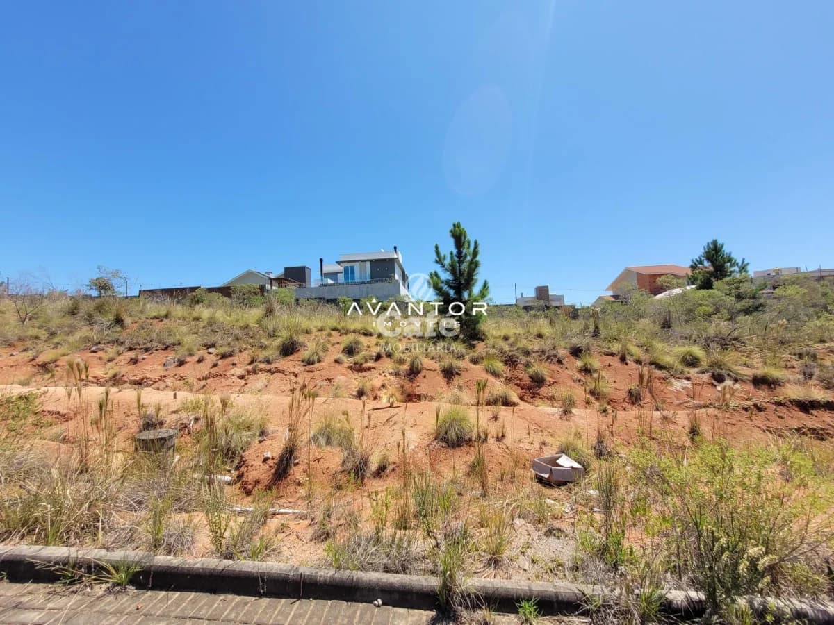 Terreno com vegetação nativa — Terreno à venda em Camobi, Santa Maria/RS