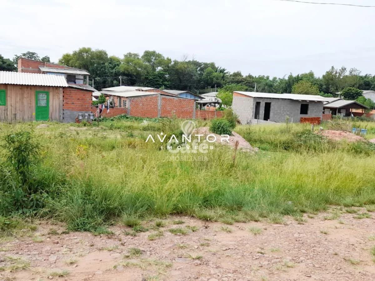Terreno com vegetação e construções — Terreno à venda em Caturrita, Santa Maria/RS