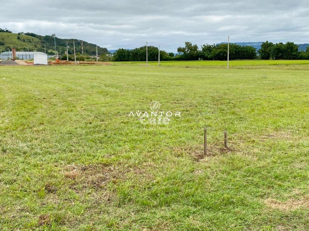 Excelente terreno 590,41m² , localizado no loteamento irmãos cadore — Terreno à venda em Centro, São João do Polêsine/RS
