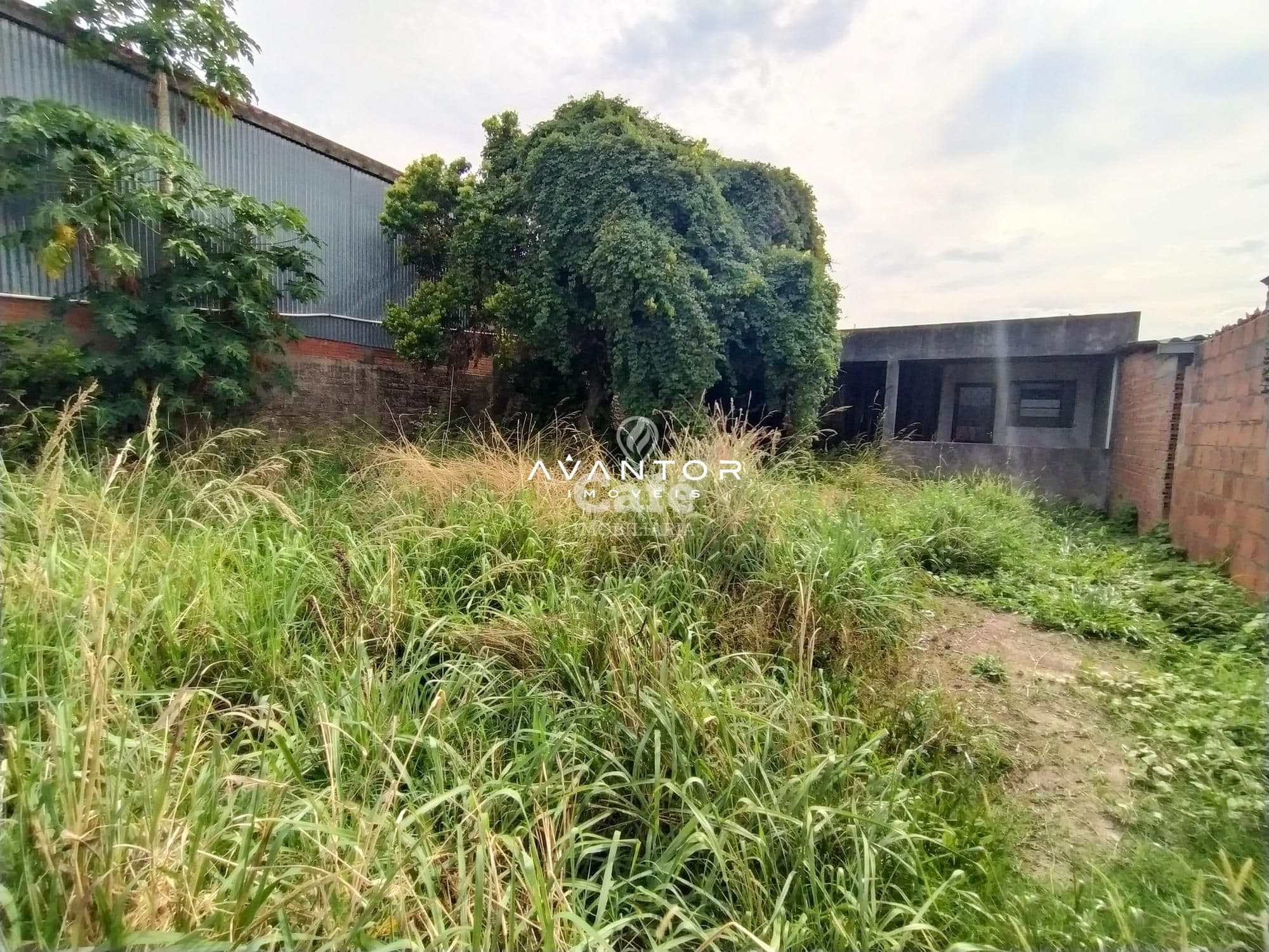 Terreno com vegetação e construções — Terreno à venda em Pinheiro Machado, Santa Maria/RS