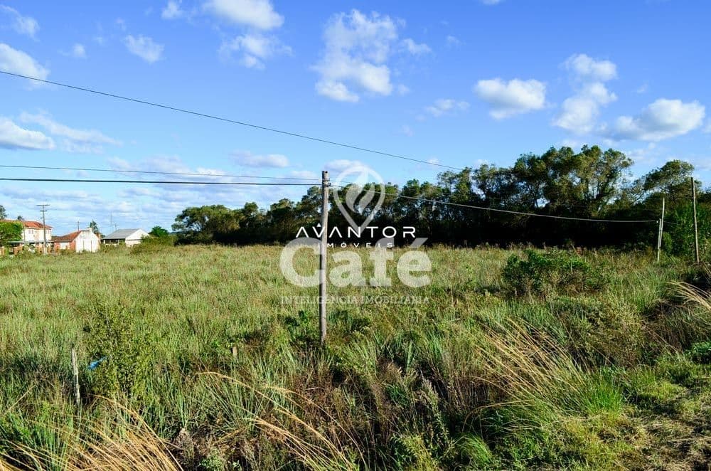 Terreno com vegetação nativa — Terreno à venda em Pinheiro Machado, Santa Maria/RS