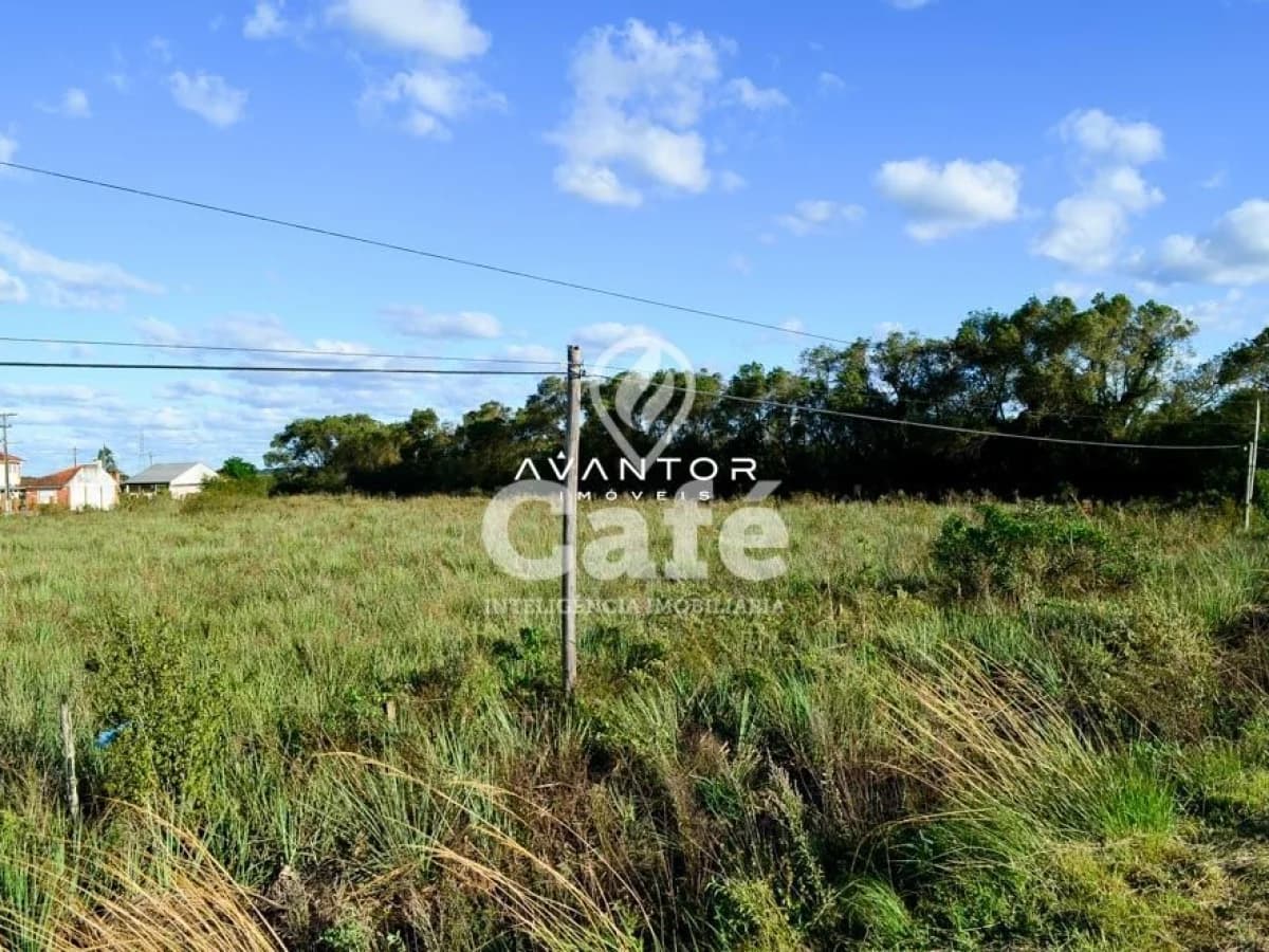Terreno com vegetação nativa — Terreno à venda em Pinheiro Machado, Santa Maria/RS