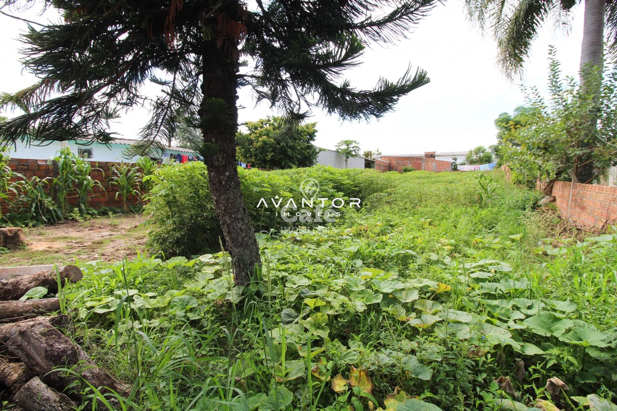 Excelente terreno com 540m², pronto para construção — Terreno à venda em Tomazetti, Santa Maria/RS