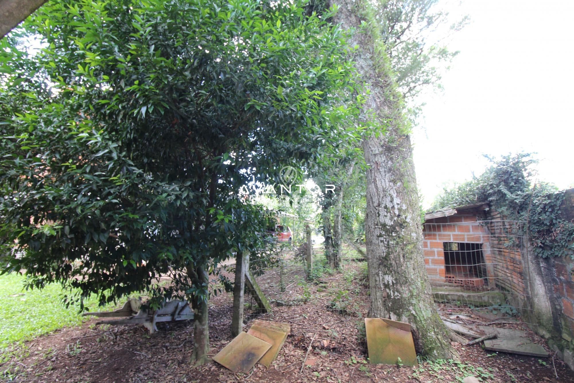 Casa com 4 quartos à venda em Novo Pinhal, Itaara/RS — foto 30 de 34