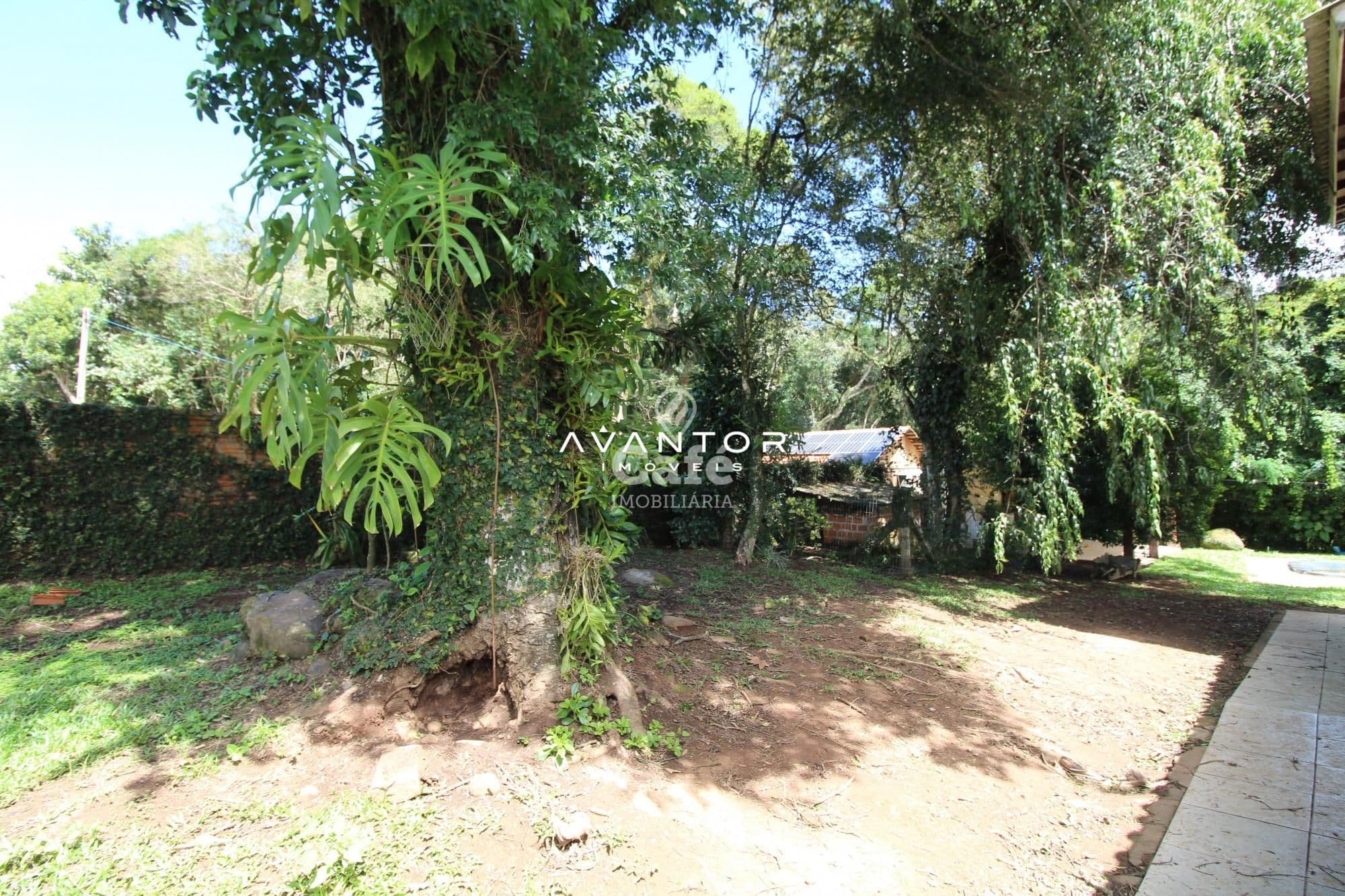 Casa com 4 quartos à venda em Novo Pinhal, Itaara/RS — foto 33 de 34
