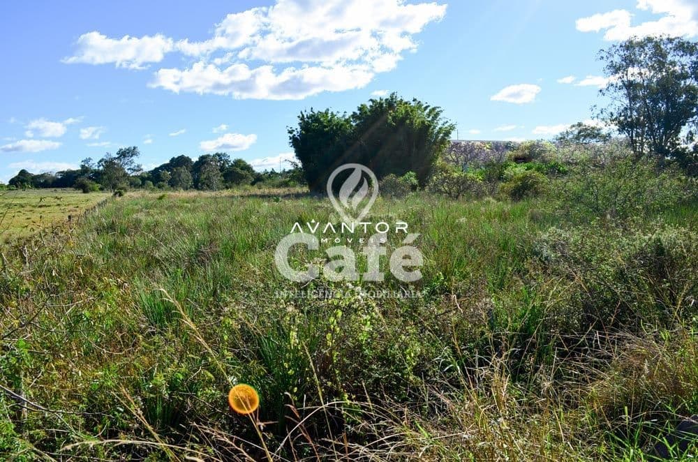 Terreno com vegetação nativa e céu aberto — Terreno à venda em Pinheiro Machado, Santa Maria/RS