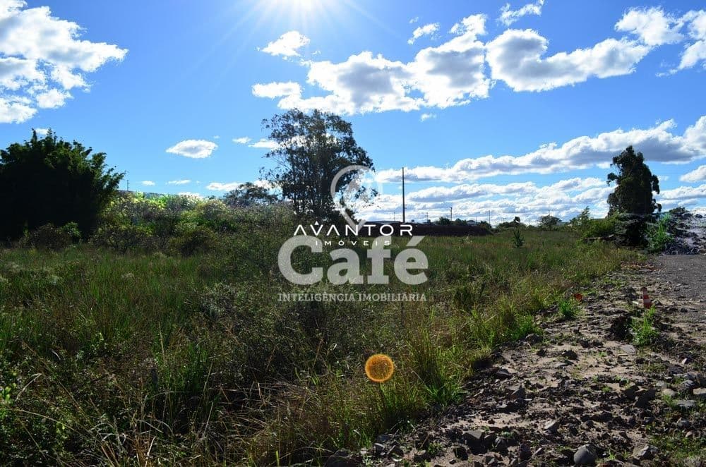 Terreno à venda em Pinheiro Machado, Santa Maria/RS — foto 3 de 5