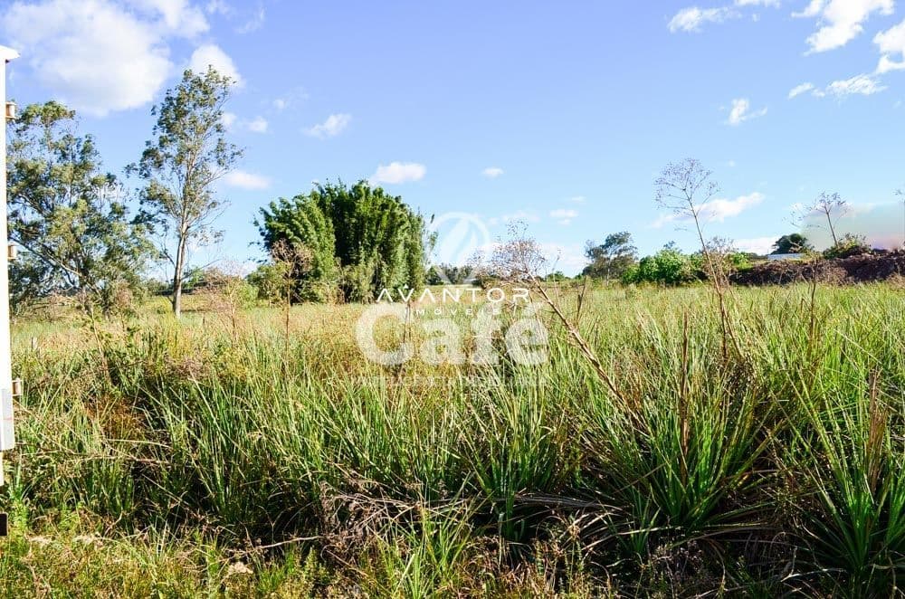 Terreno à venda em Pinheiro Machado, Santa Maria/RS — foto 4 de 5