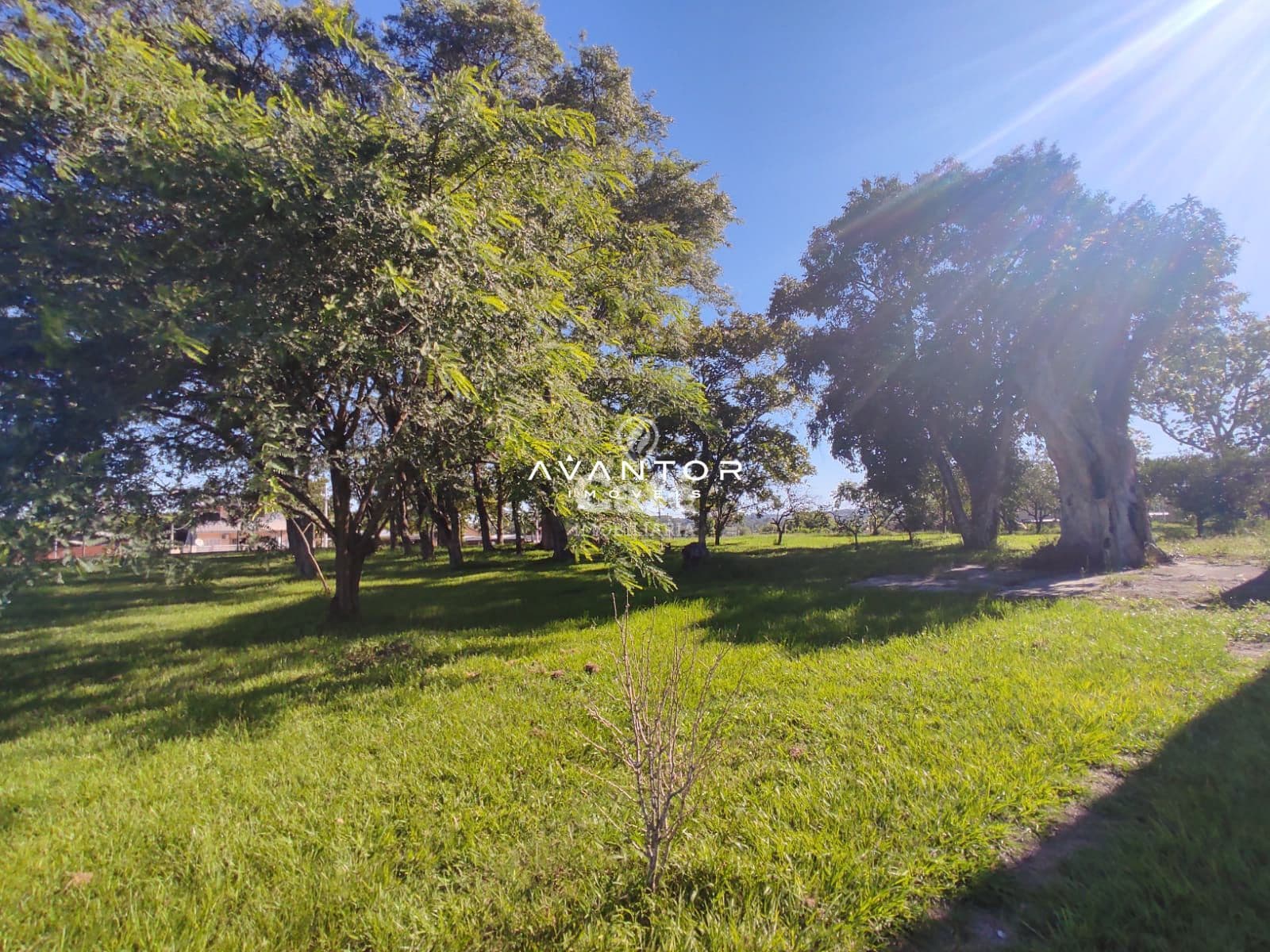 Ótima oportunidade de adquirir seu próprio terreno — Terreno à venda em Pinheiro Machado, Santa Maria/RS