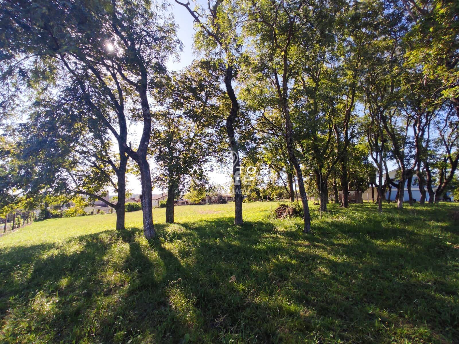 Ótima oportunidade de adquirir seu próprio terreno — Terreno à venda em Pinheiro Machado, Santa Maria/RS