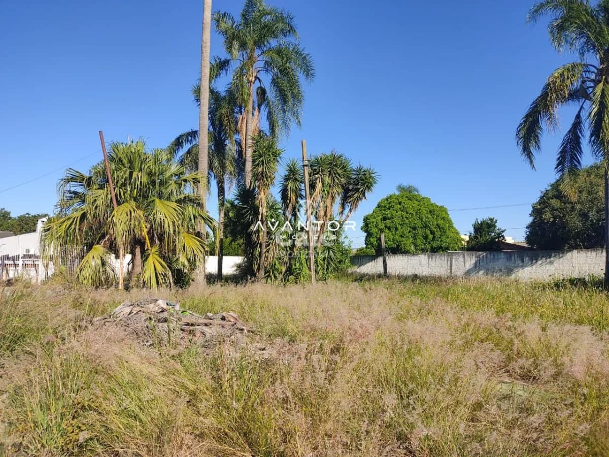 Enorme terreno no P.Machado — Terreno à venda em Pinheiro Machado, Santa Maria/RS