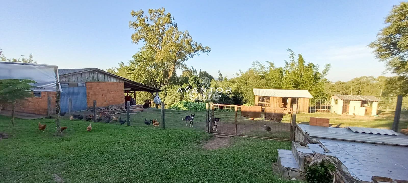 Campo à venda em Pinheiro Machado, Santa Maria/RS — foto 4 de 20