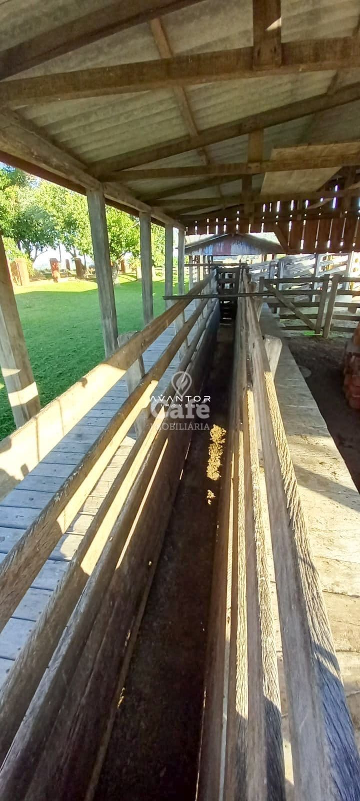 Campo à venda em Pinheiro Machado, Santa Maria/RS — foto 5 de 20