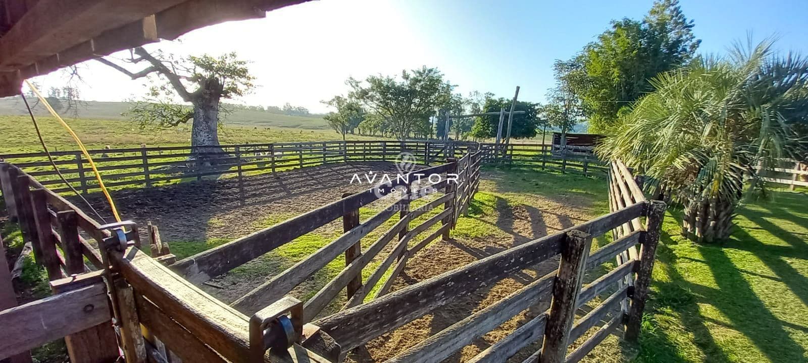 Campo à venda em Pinheiro Machado, Santa Maria/RS — foto 6 de 20