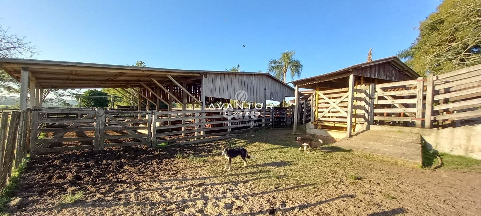Campo à venda em Pinheiro Machado, Santa Maria/RS — foto 7 de 20