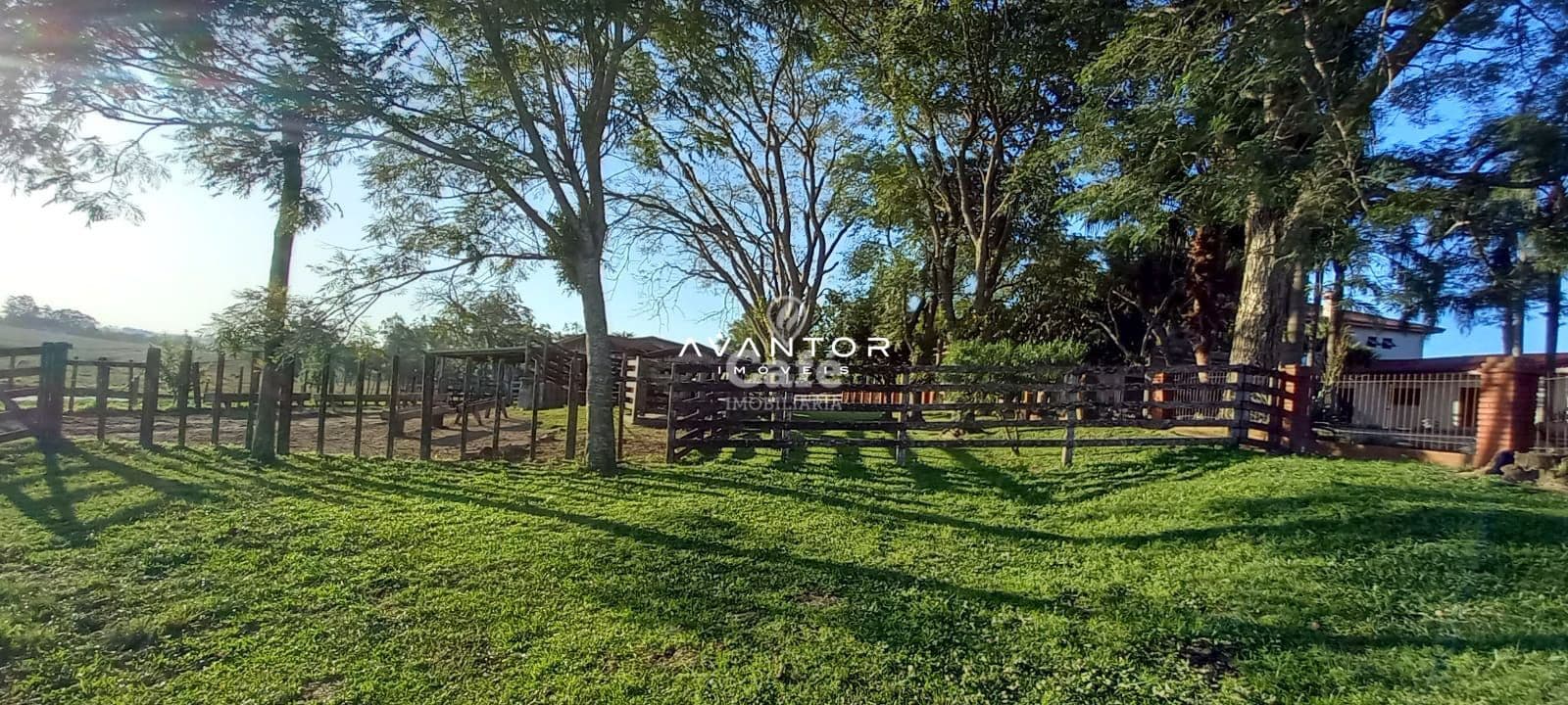Campo à venda em Pinheiro Machado, Santa Maria/RS — foto 8 de 20