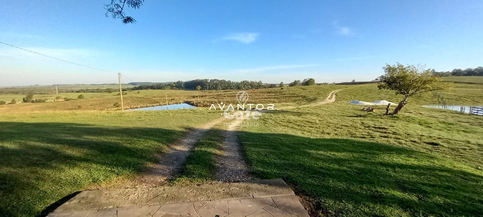Campo à venda em Pinheiro Machado, Santa Maria/RS — foto 9 de 20