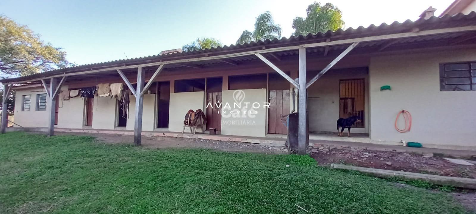 Campo à venda em Pinheiro Machado, Santa Maria/RS — foto 12 de 20