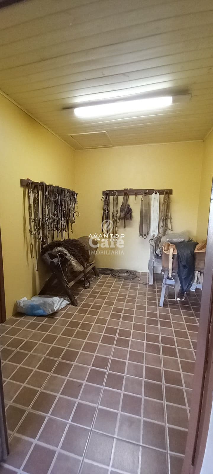 Campo à venda em Pinheiro Machado, Santa Maria/RS — foto 13 de 20