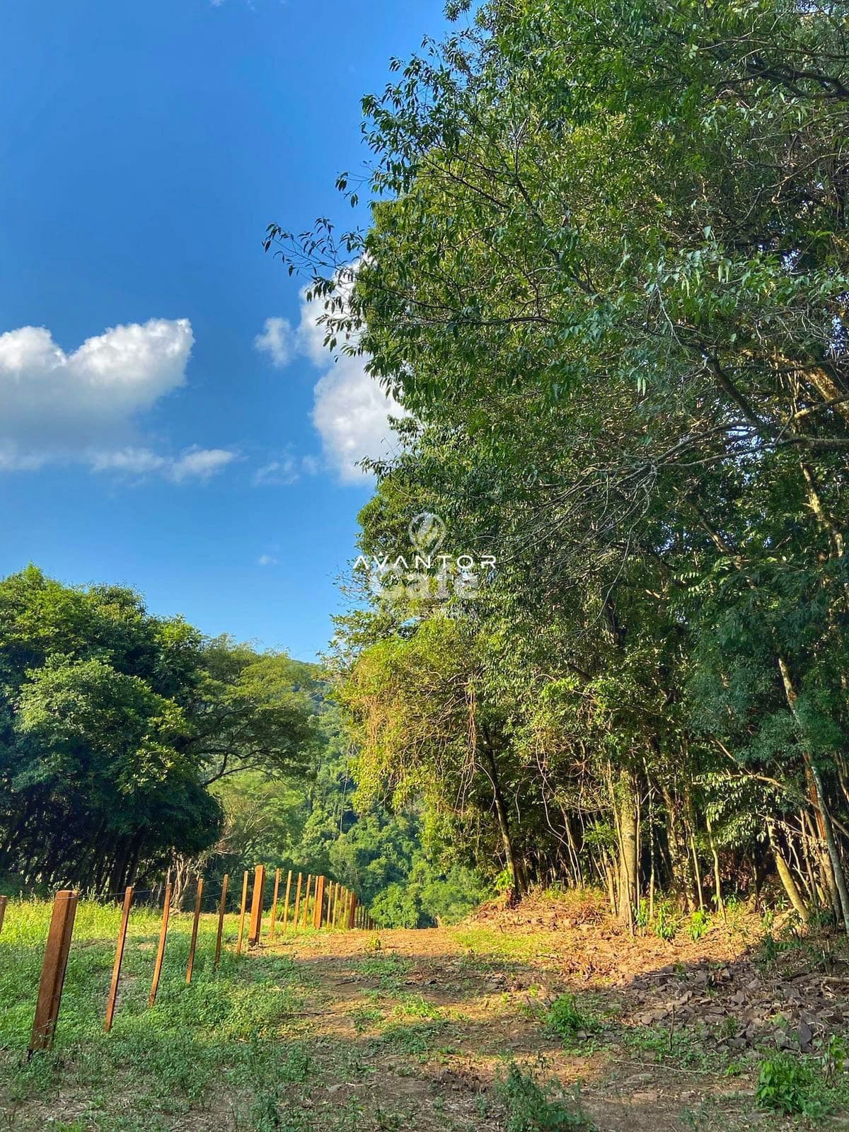 Campo à venda em Zona rural, Silveira Martins/RS — foto 6 de 6