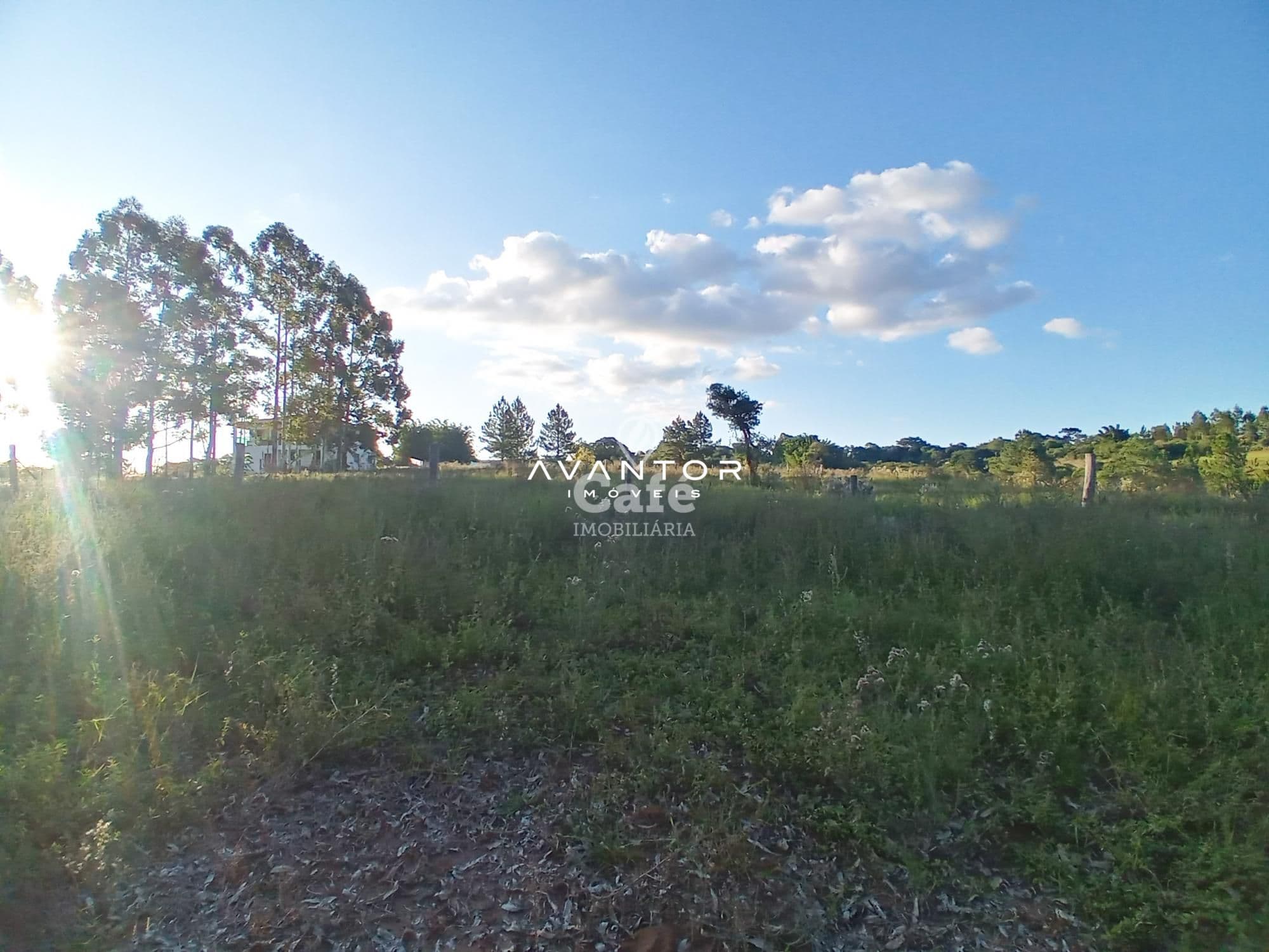Chácara com 2 quartos à venda em Boi Morto, Santa Maria/RS — foto 4 de 14