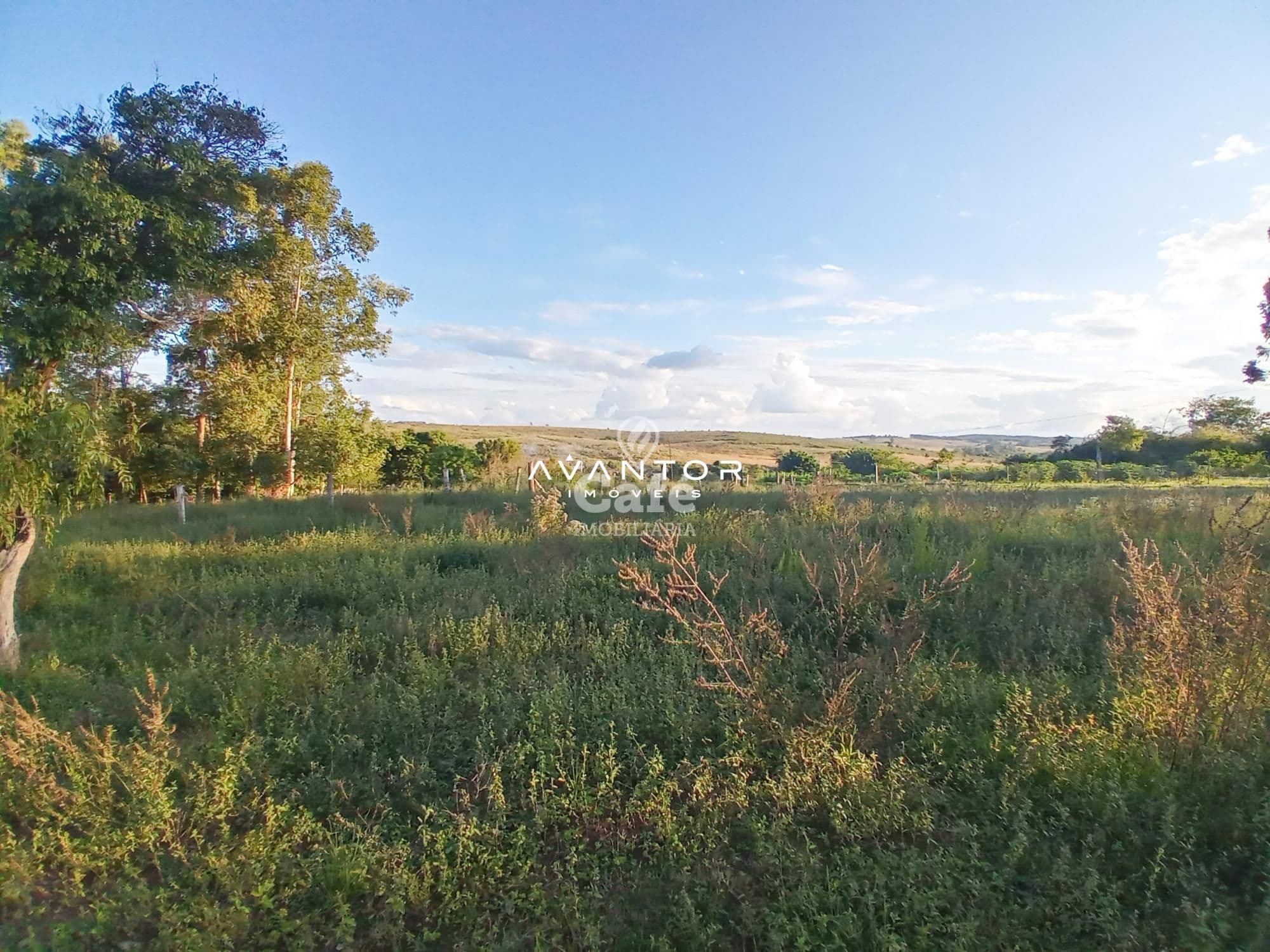 Chácara com 2 quartos à venda em Boi Morto, Santa Maria/RS — foto 6 de 14