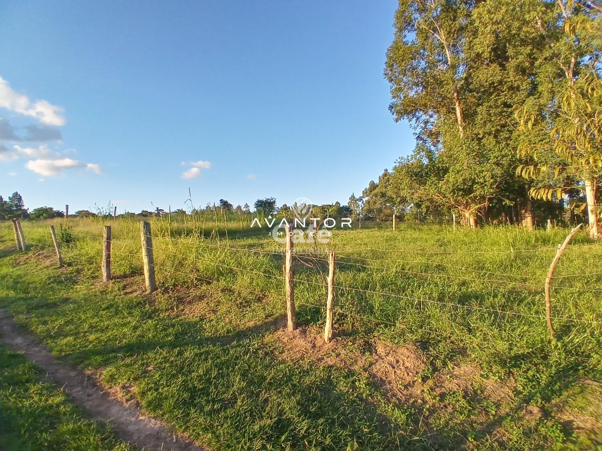 Chácara com 2 quartos à venda em Boi Morto, Santa Maria/RS — foto 8 de 14