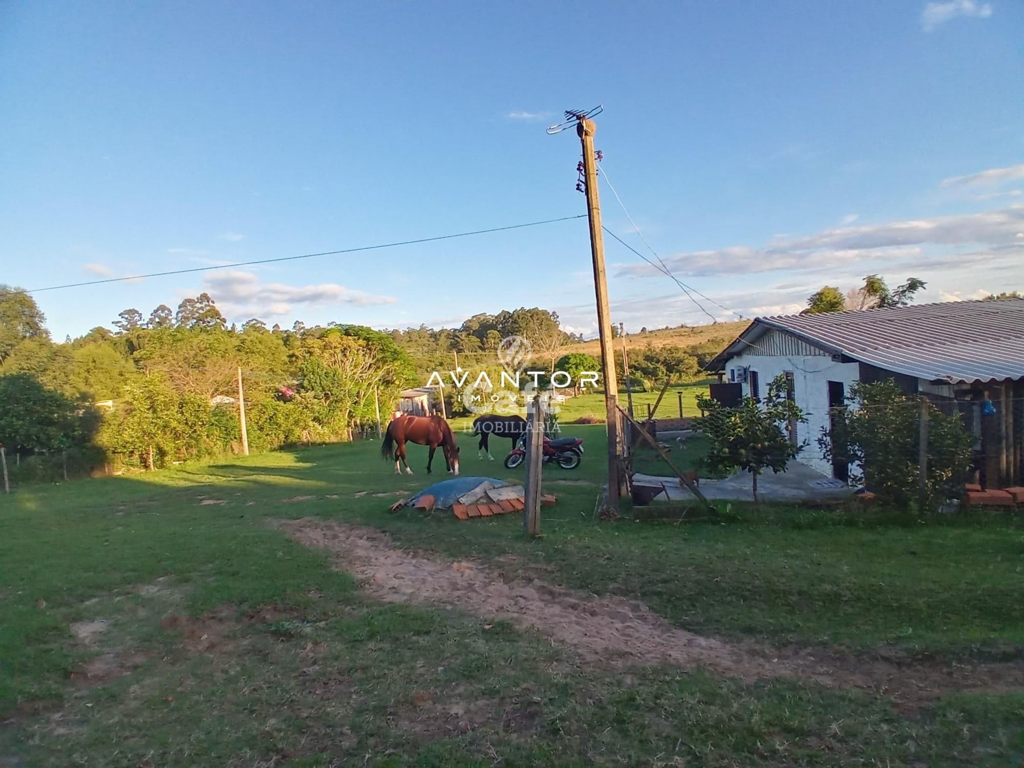Chácara com 2 quartos à venda em Boi Morto, Santa Maria/RS — foto 11 de 14
