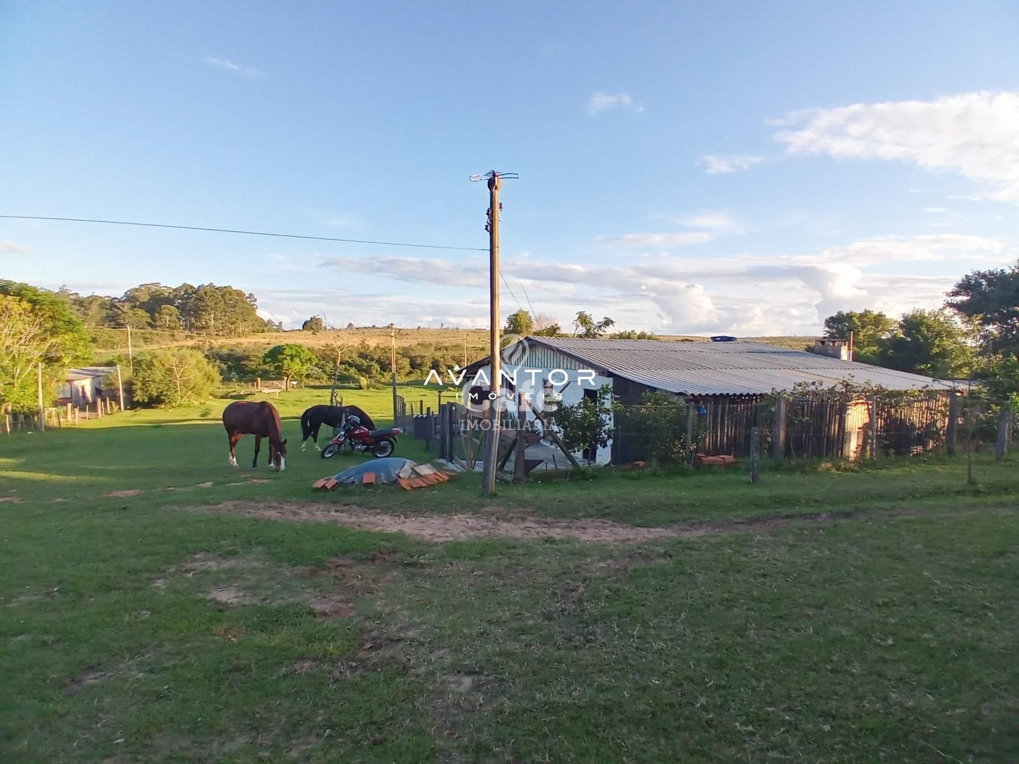 Chácara com 2 quartos à venda em Boi Morto, Santa Maria/RS — foto 12 de 14