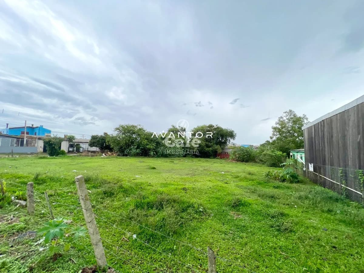 Terreno com vegetação e construções ao fundo — Terreno à venda em Pinheiro Machado, Santa Maria/RS