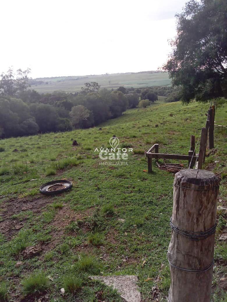 Chácara com 2 quartos à venda em Interior, Dilermando de Aguiar/RS — foto 9 de 20