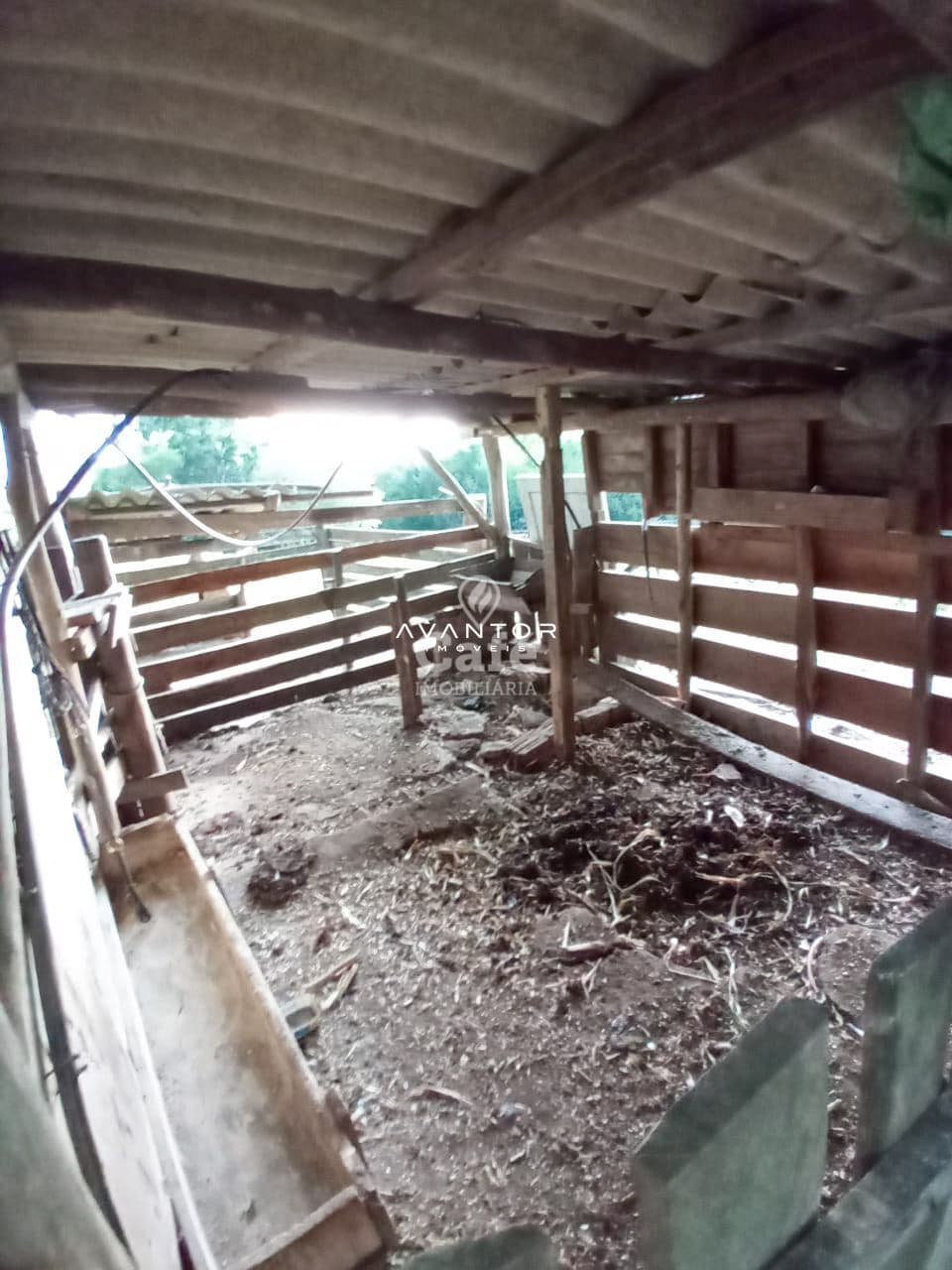 Chácara com 2 quartos à venda em Interior, Dilermando de Aguiar/RS — foto 16 de 20